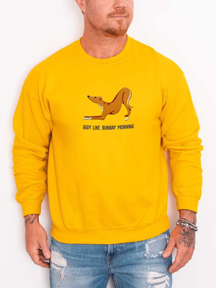 Iggy Like Sunday Morning Sweatshirt (Embroidered) of an Italian Greyhound(Brown) product image (2)