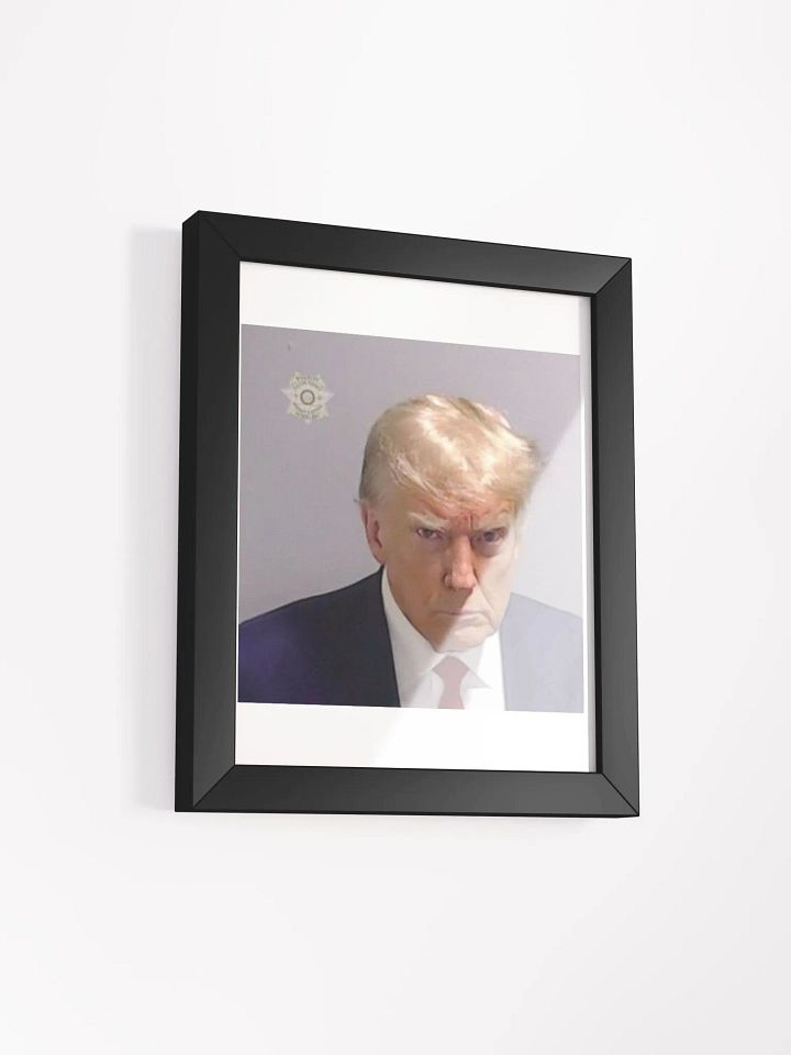 Framed FAFO Mugshot product image (15)