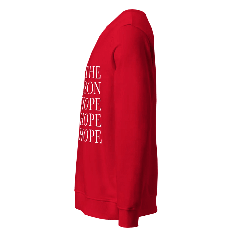 The Season of Ho-Ho-Hope product image (4)