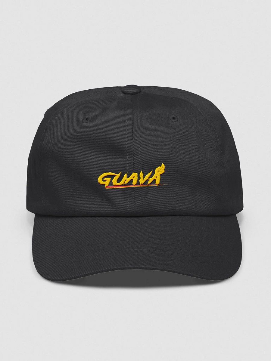 EMBROIDED HAT product image (1)