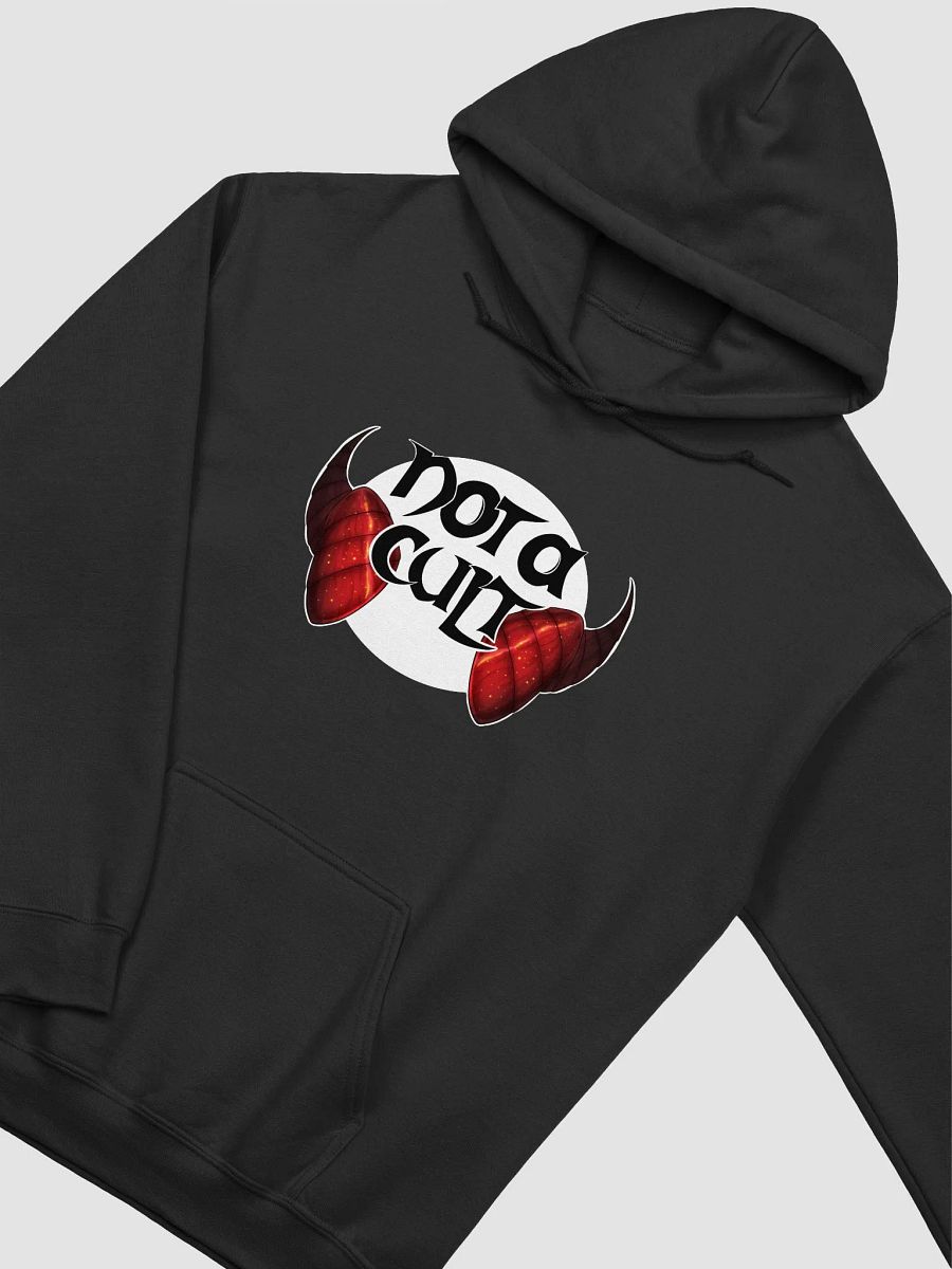 Not a Cult Hoodie product image (3)