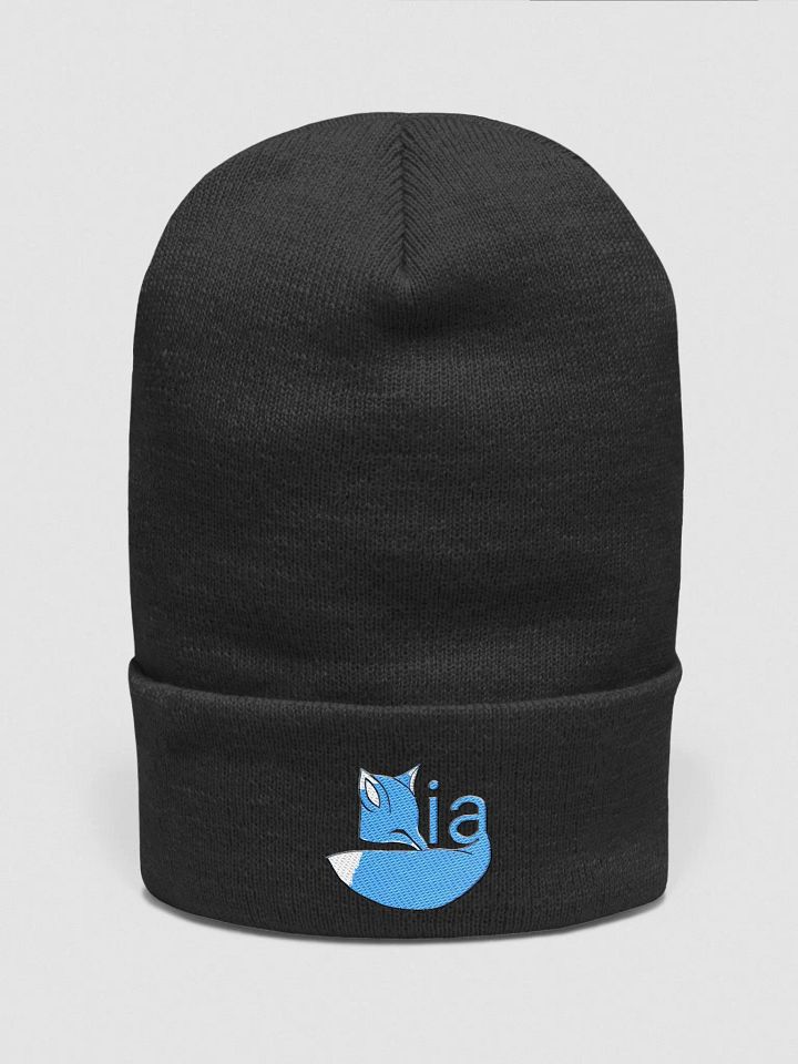 Dia logo beanie product image (1)