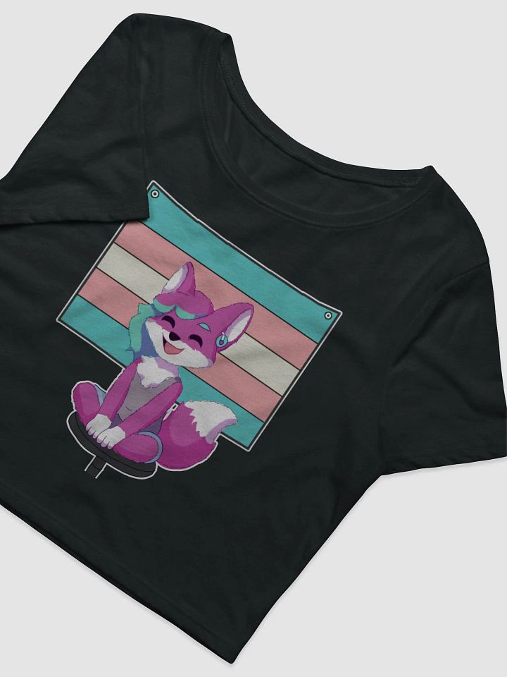 Joy the Fox Trans Crop Top product image (3)