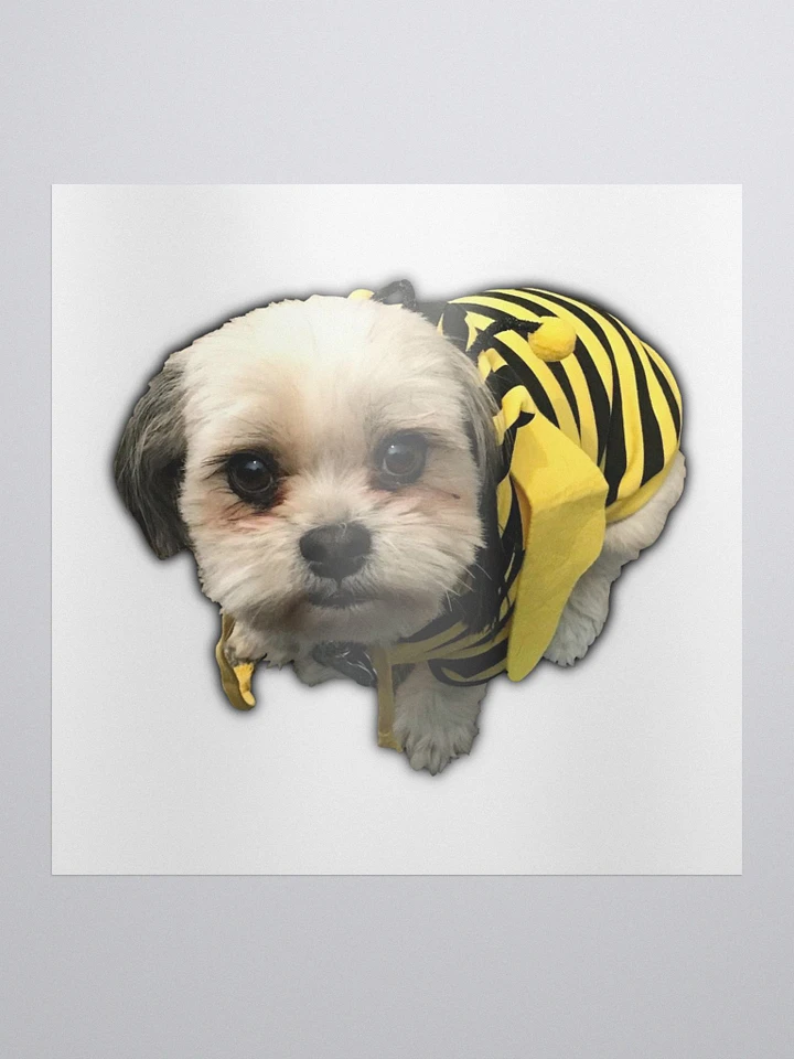 BeeBug product image (1)