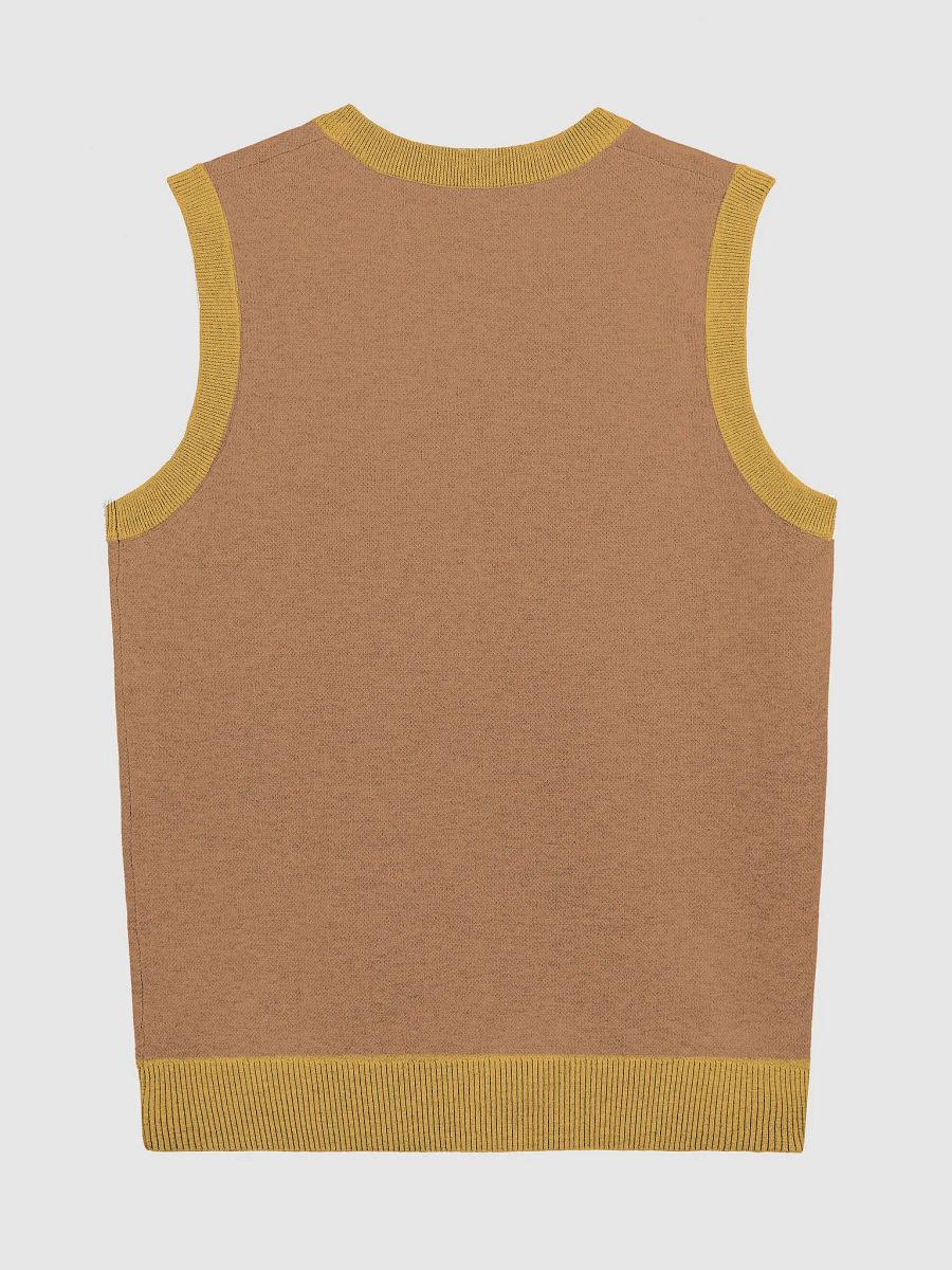 PLEASE DON'T MAKE ME TALK (duotone orange) knitwear vest product image (7)