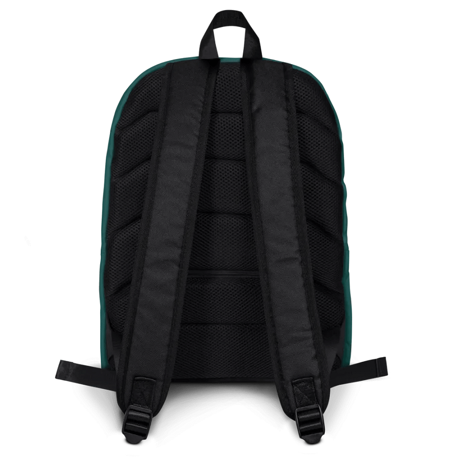 Ozark Airlines - Backpack product image (4)