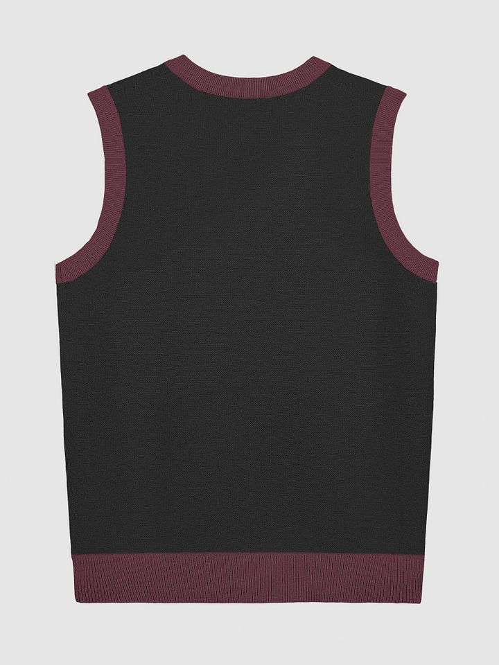 Away Sweater Vest product image (2)