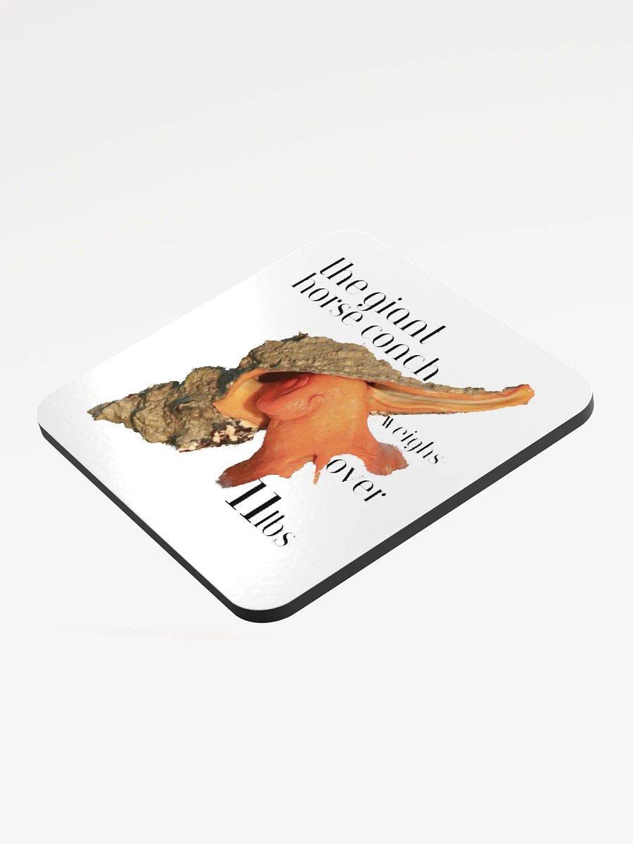 Conch Coaster product image (3)