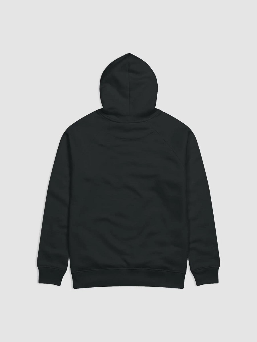 Hoodie OG Logo product image (4)