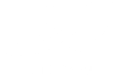 Eternal Racing