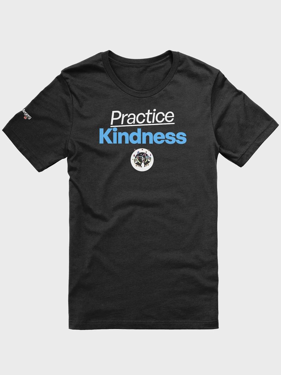 Practice Kindness Tee product image (1)