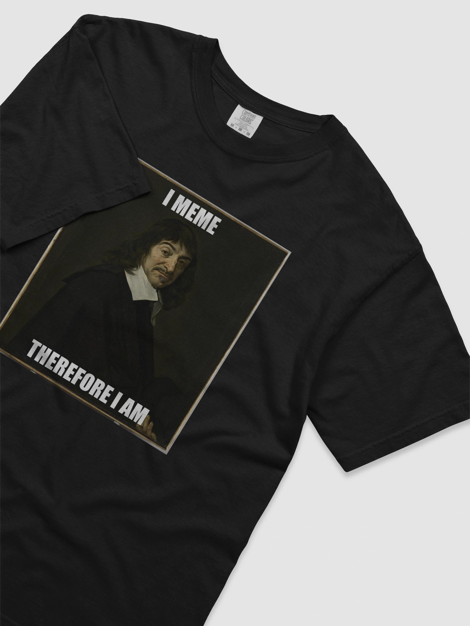 I meme therefore I am - Philosophical Meme T-Shirt René Descartes product image (5)