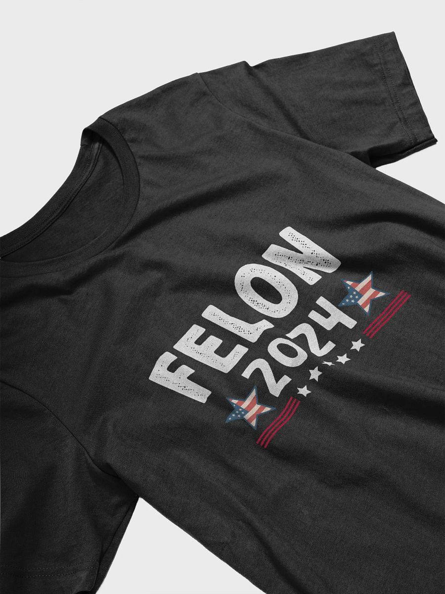 Felon 2024 T-Shirt | USA Sarcastic Politics Shirt product image (3)