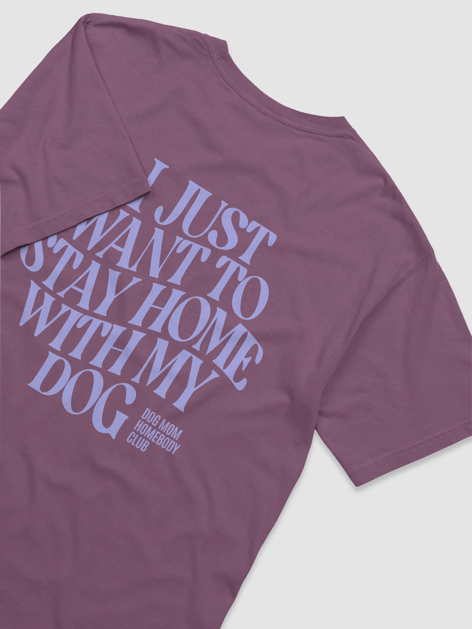 Dog Mom Homebody Dog Shirt product image (8)