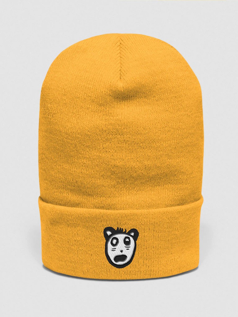 Pat Beanie product image (1)