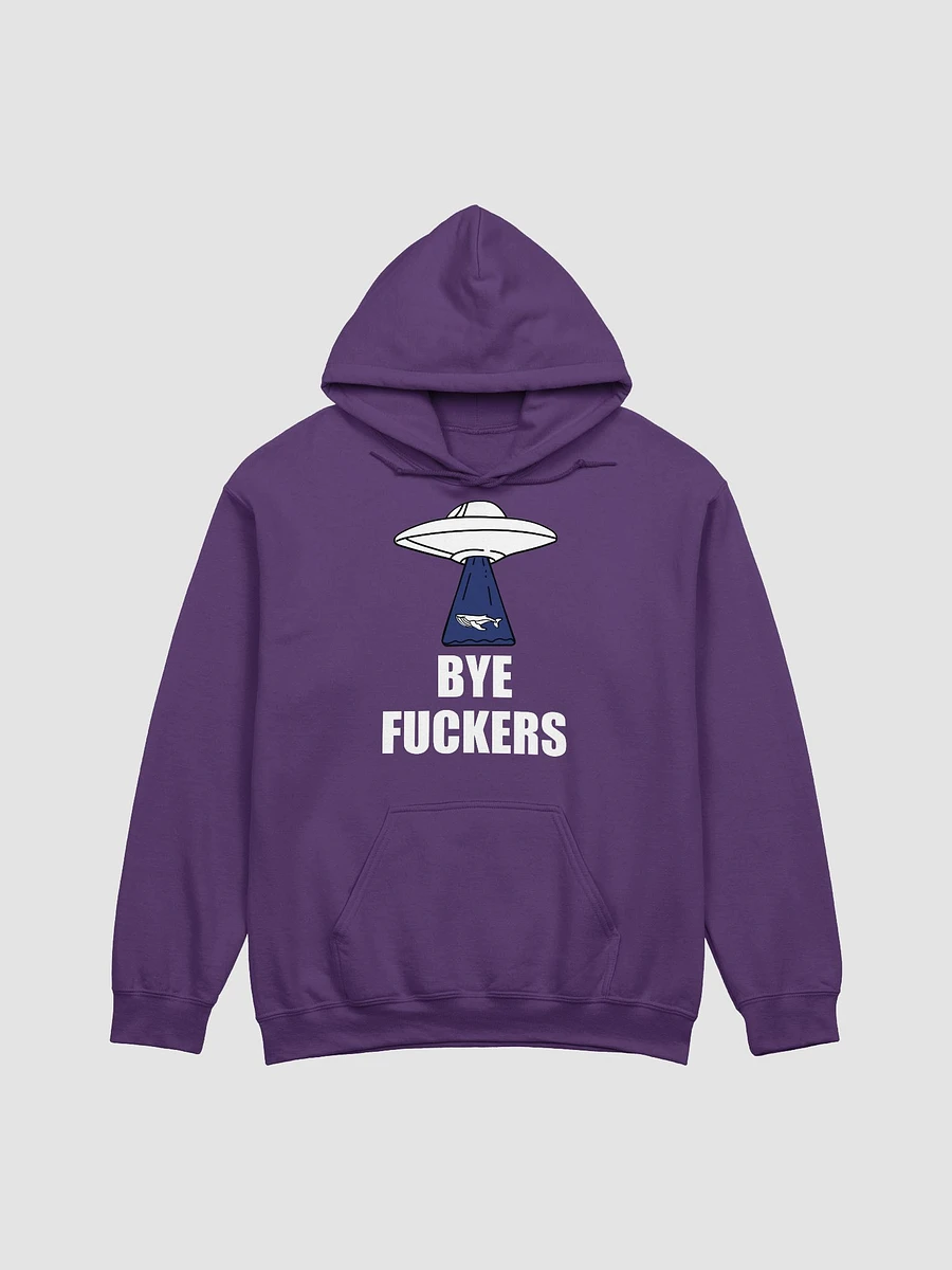Bye Fuckers classic hoodie product image (50)