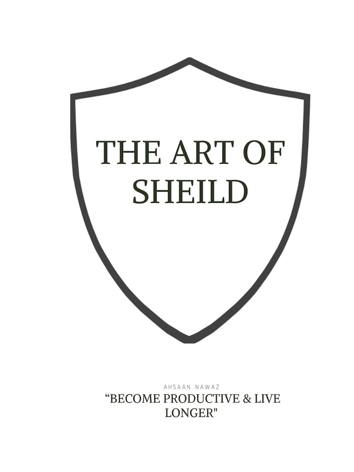 The Art of Shield Ebook product image (2)