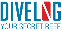 Divelog