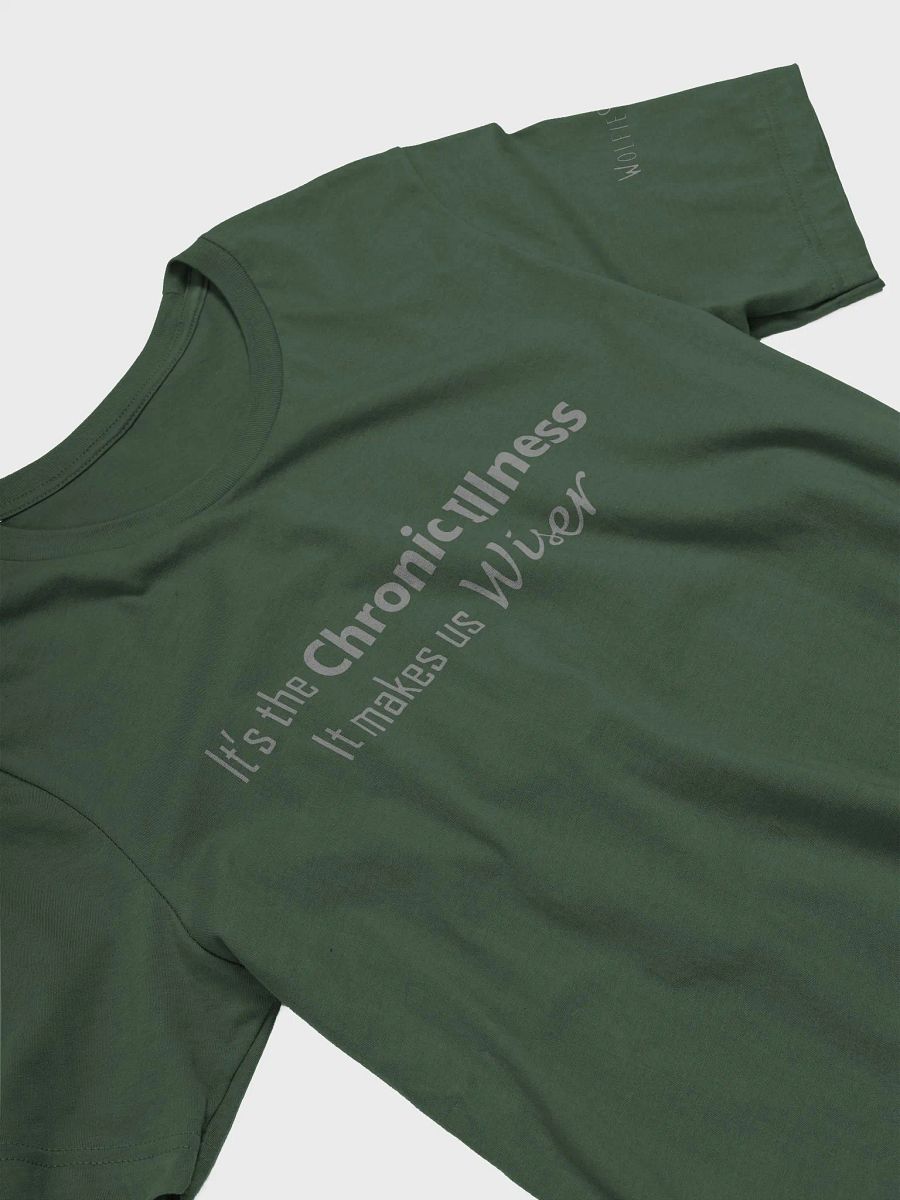 It's the Chronic Illness Shirt product image (27)