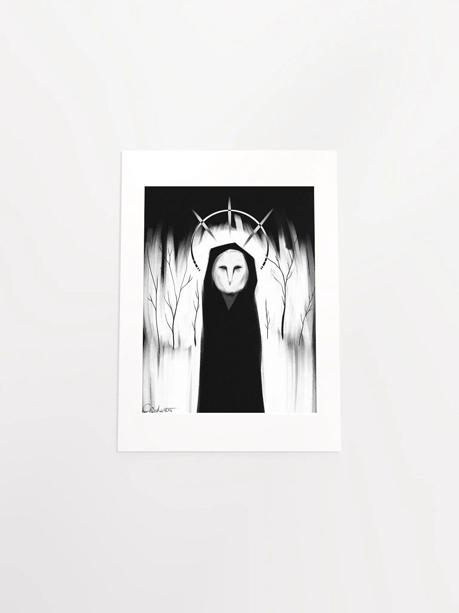 Owl - White Background product image (4)