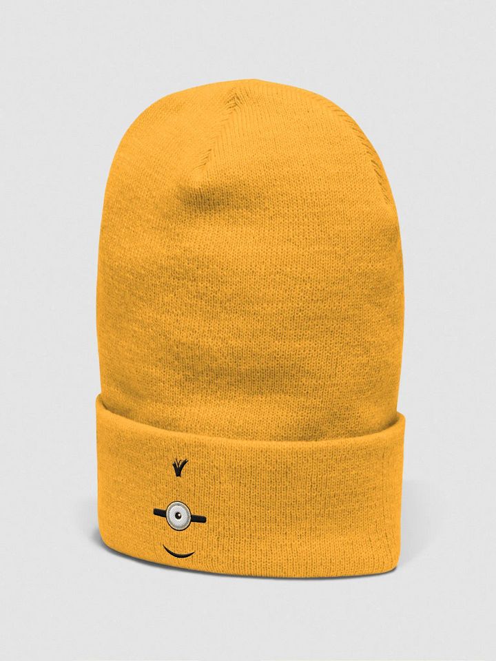 Limited Edition Cuffed Beanie product image (2)