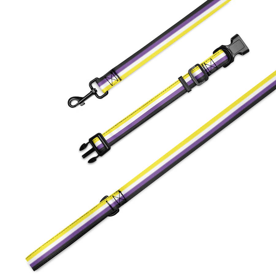 Non-binary Pride Flag Pet Collar & Leash product image (1)