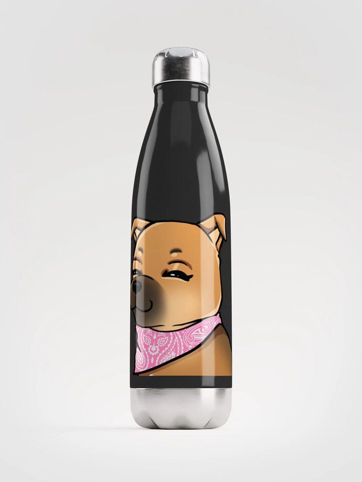 Mara Stainless Steel Water Bottle product image (1)