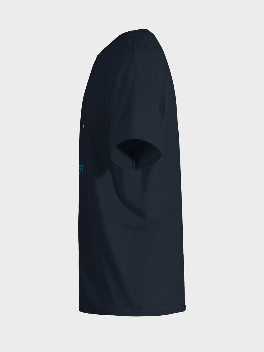 Do Not Disturb: Introvert in Recovery Shirt product image (40)