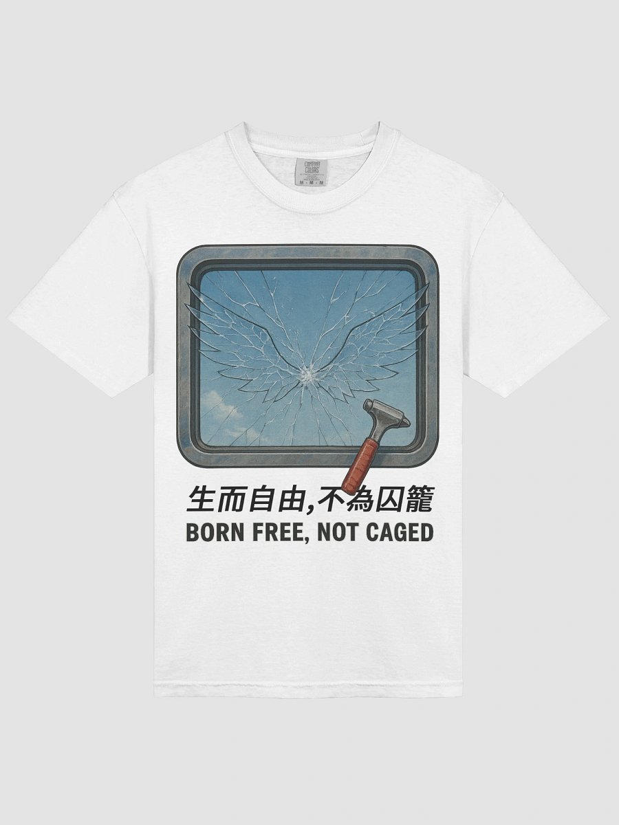 打破那扇窗--文化衫2 product image (19)