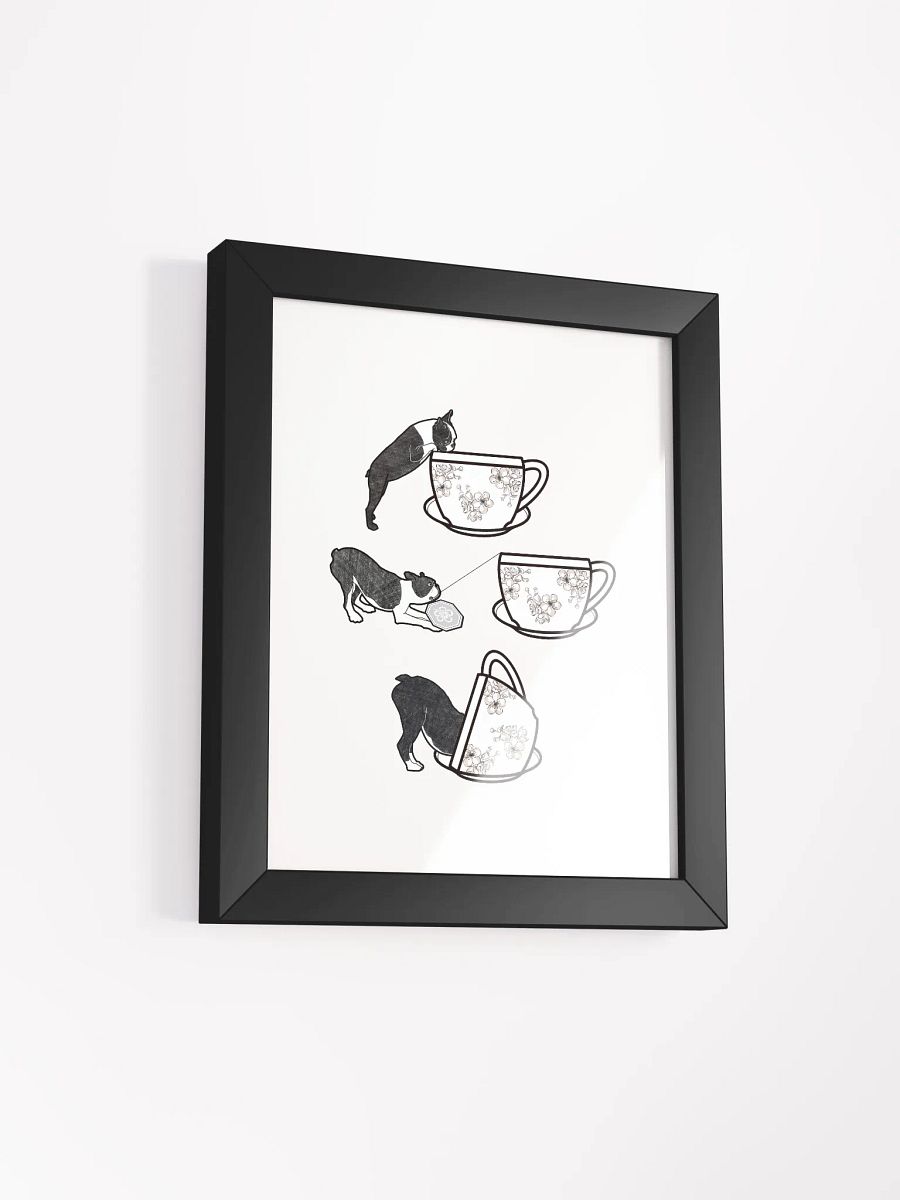 curiosity product image (18)