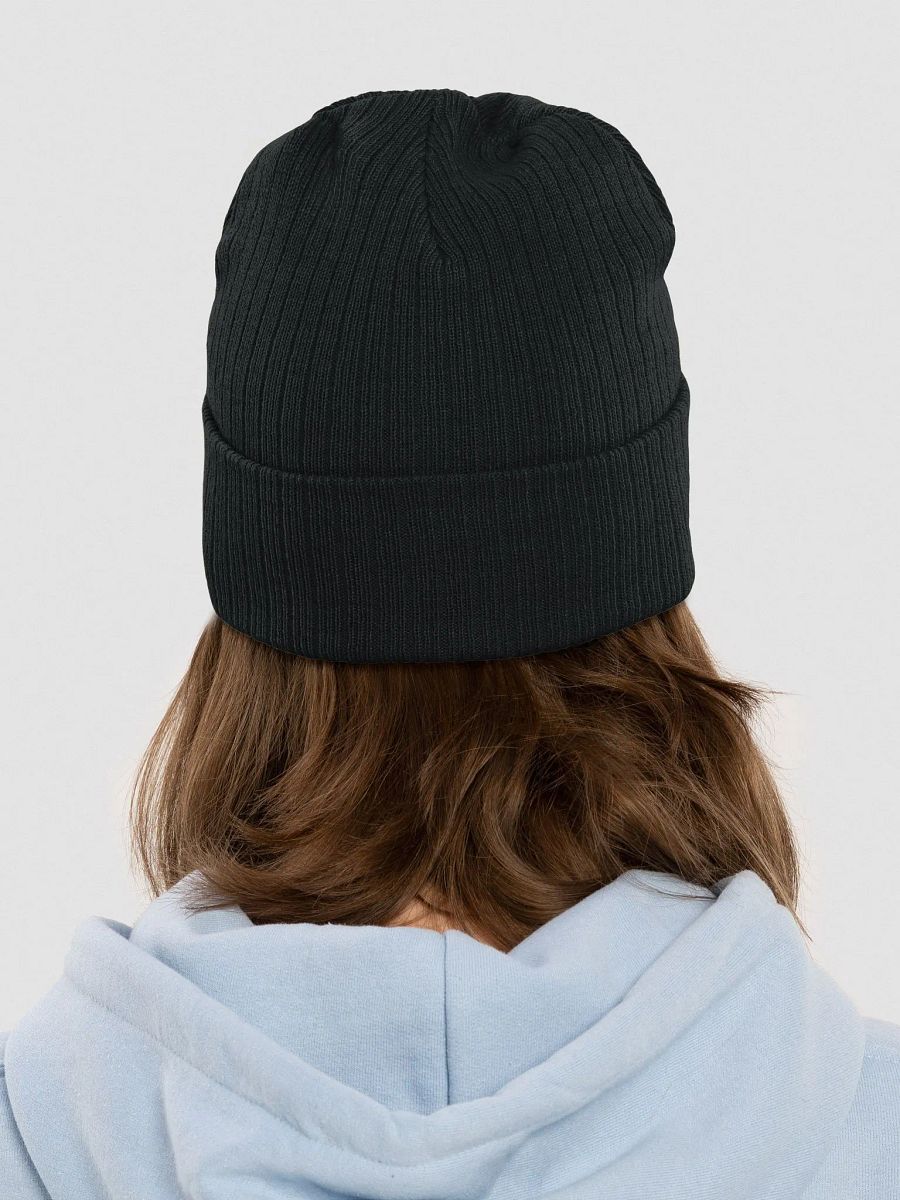 Ready or Not Branded Beanie product image (9)