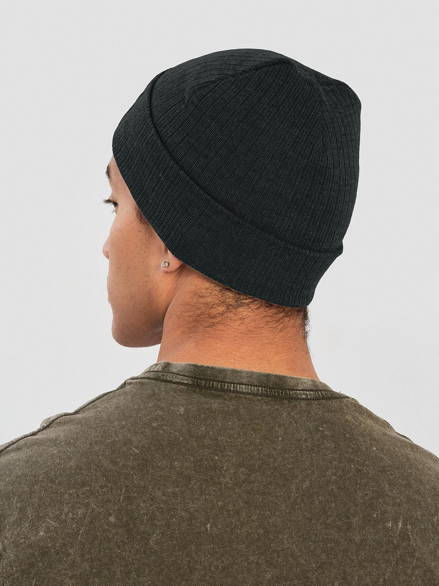 Embroidered Vixen Beanie product image (18)