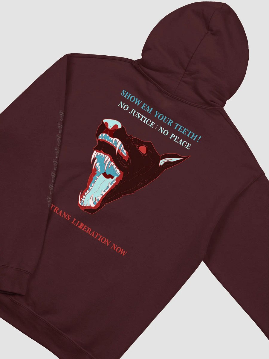 Show Em hoodie 1 product image (4)