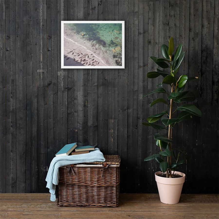 Seals on a hidden beach product image (3)