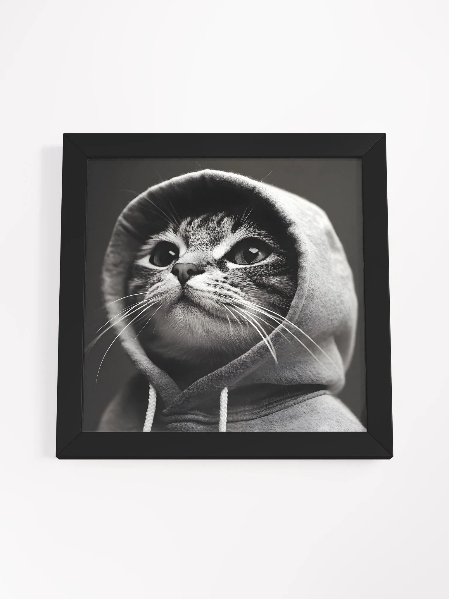 Hacker Cat product image (49)