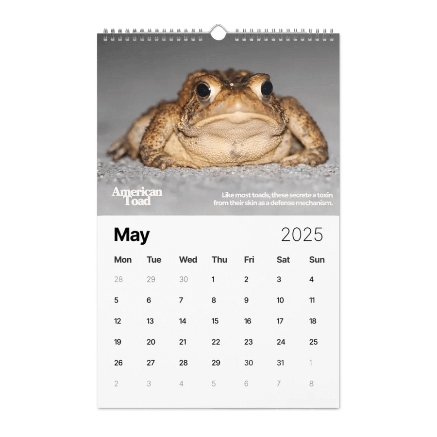 2025 In the Wild Wall Calendar product image (2)