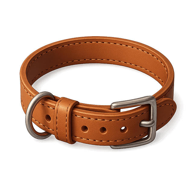Pet Accessories