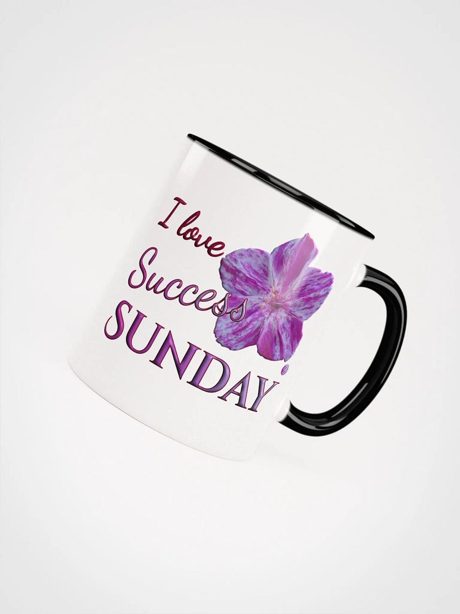Success Sunday product image (47)