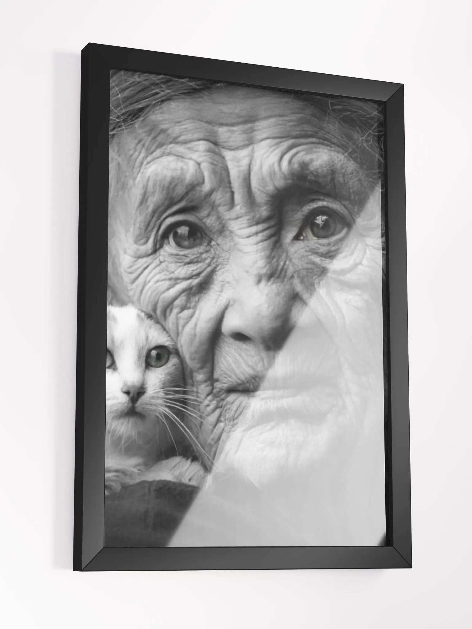 Timeless Grace: Wrinkles of Wisdom and the Warmth of Feline Companionship product image (10)