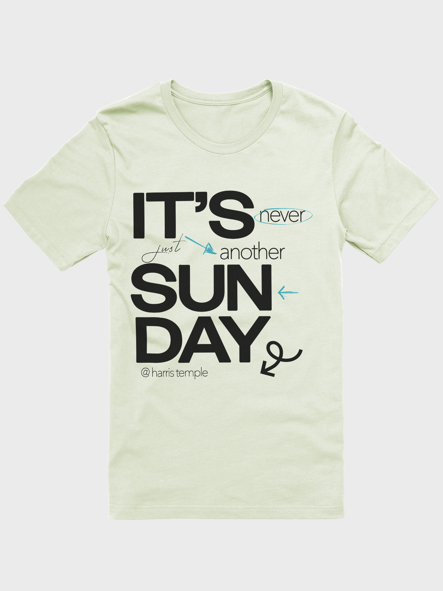 Elevate Your Style with Temple Merch Highlight T-Shirt product image (1)