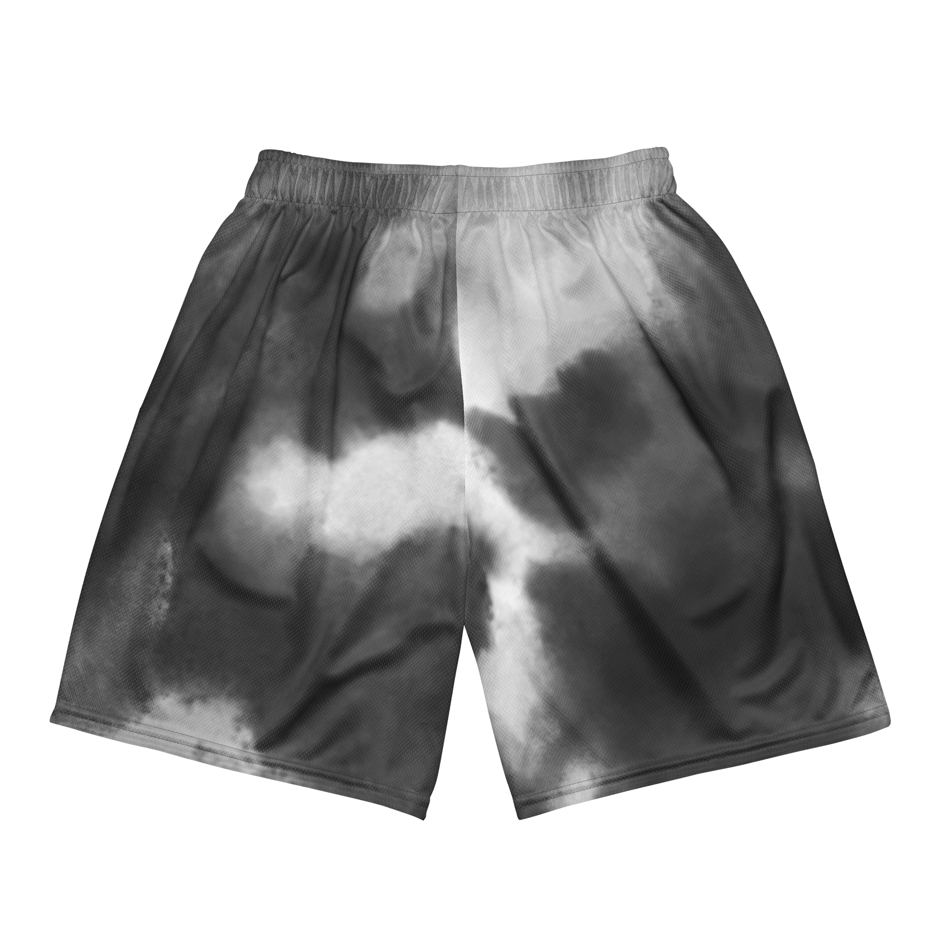 Smokey Mesh Shorts product image (5)