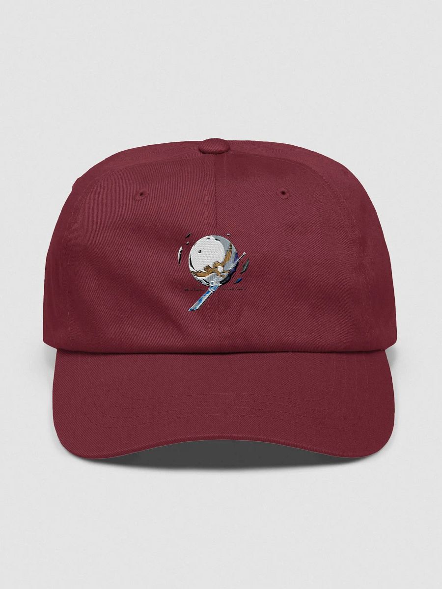 Who cares? Hawke Cares! Dad hat! product image (1)