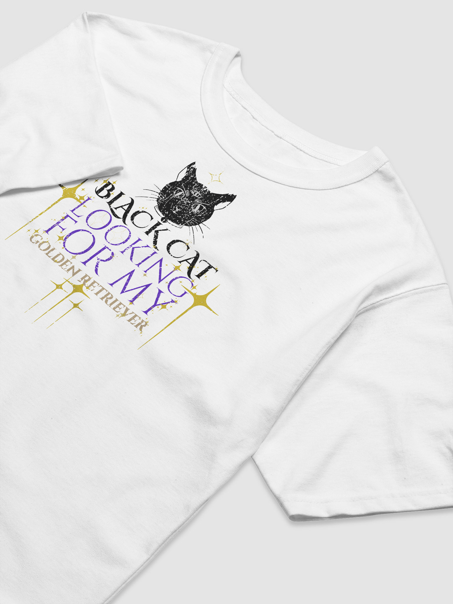 Black Cat Energy Champion T-Shirt product image (3)