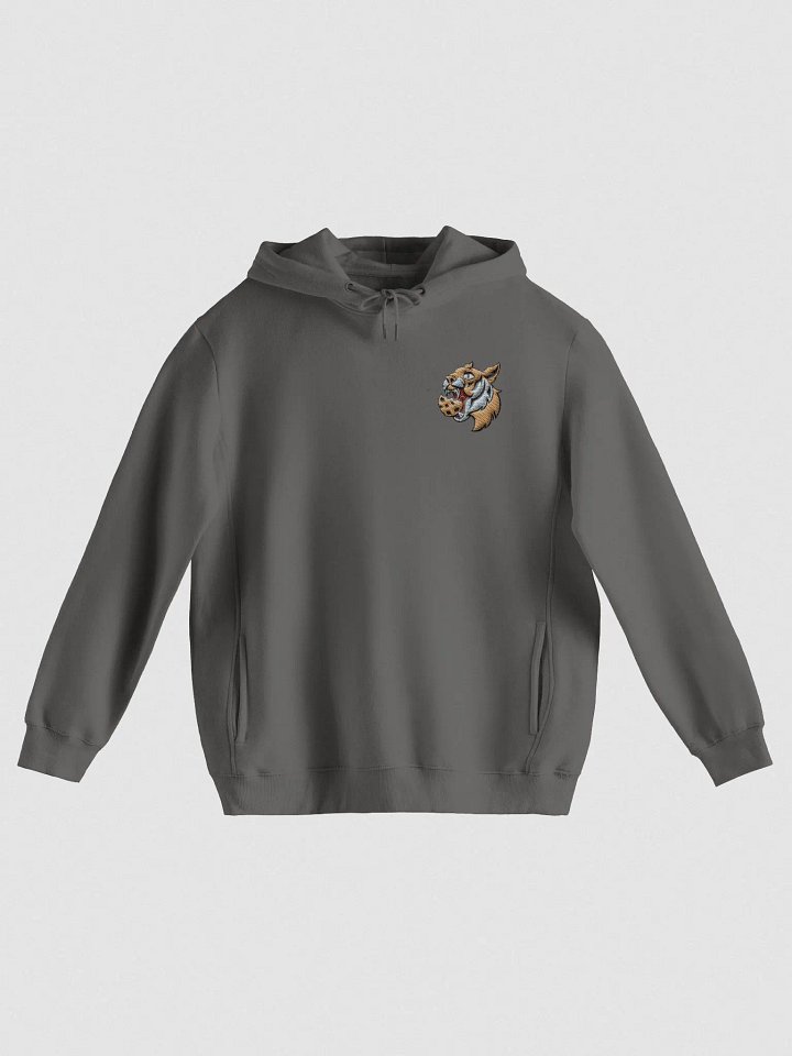 Adult Embroidered Hoodie product image (1)