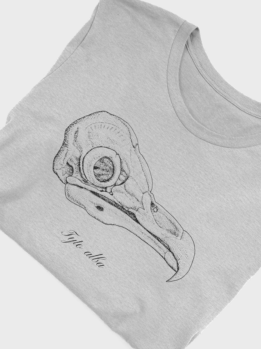 Barn Owl Skull product image (4)