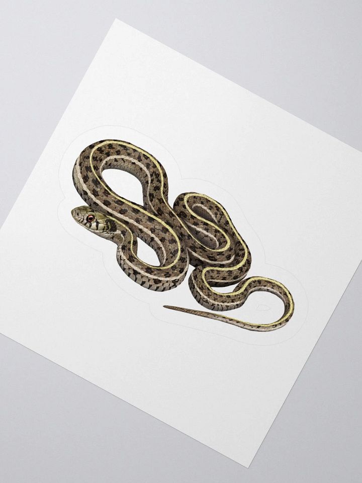 Die-Cut Sticker – Checkered Gartersnake product image (4)