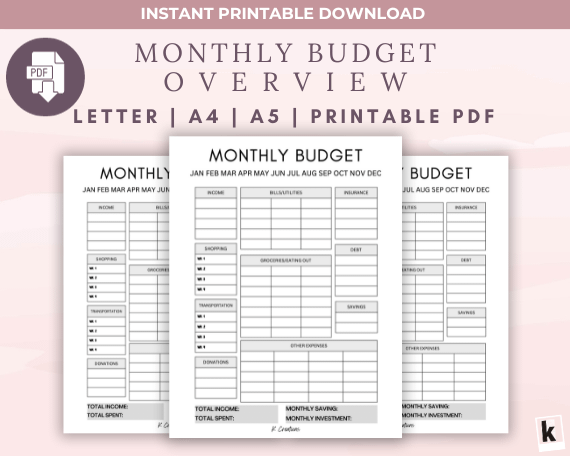 Monthly Finance Printable to Simplify Your Budget, PDF Instant Download Expense Tracker for Monthly Budget Planner, A4 A5 Letter product image (1)