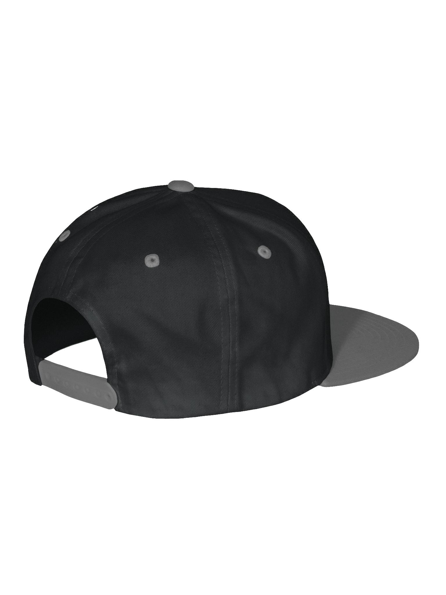 Fish Lunch Snapback product image (14)