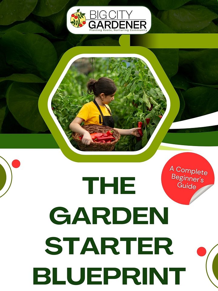 The Garden Starter Blueprint product image (1)