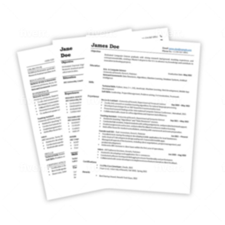 Professional Resume Templates for International Students product image (1)